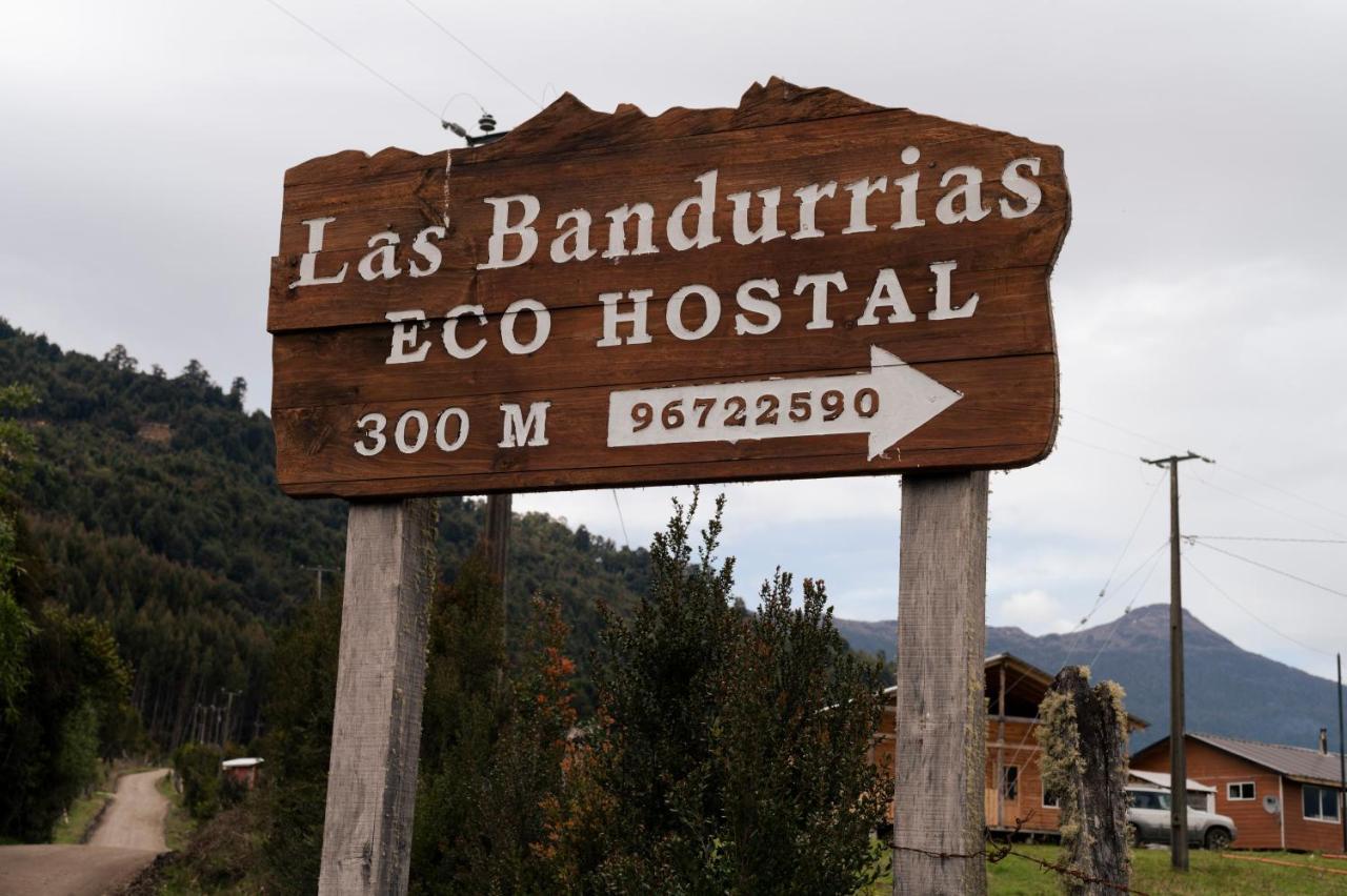 Bandurrias Eco