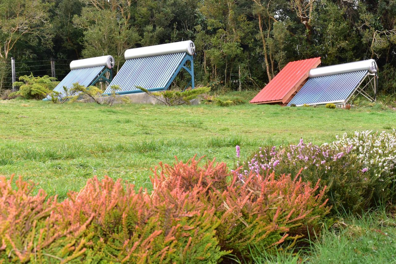 Bandurrias Eco Cochamo